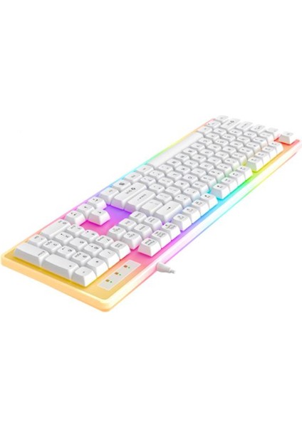 Paladin Mekanik Hisli Türkçe RGB Beyaz Premium Gaming Klavye