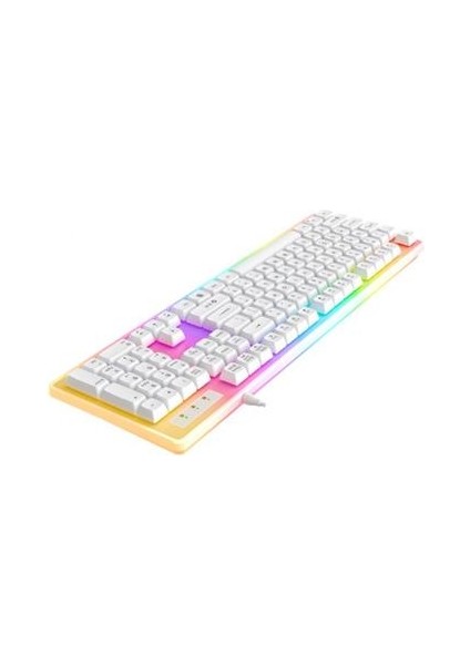 Paladin Mekanik Hisli Türkçe RGB Beyaz Premium Gaming Klavye
