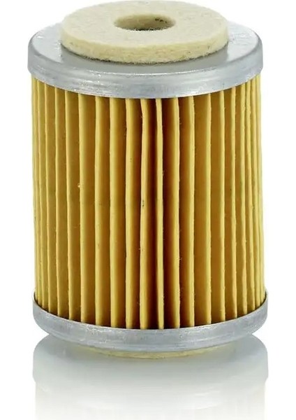 P609 Yakit Filtresi 019460 0225551 05745102