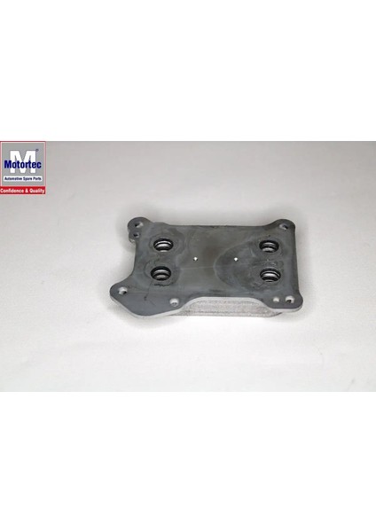 TMP0335 Motor Yag Sogutucusu 55193743