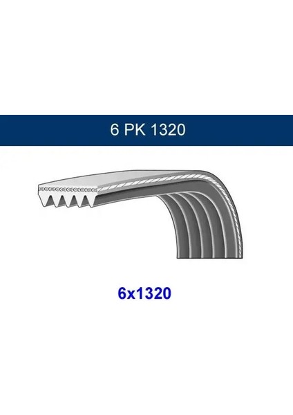 6PK1320 Kayis 20441019 254723126309 395464985