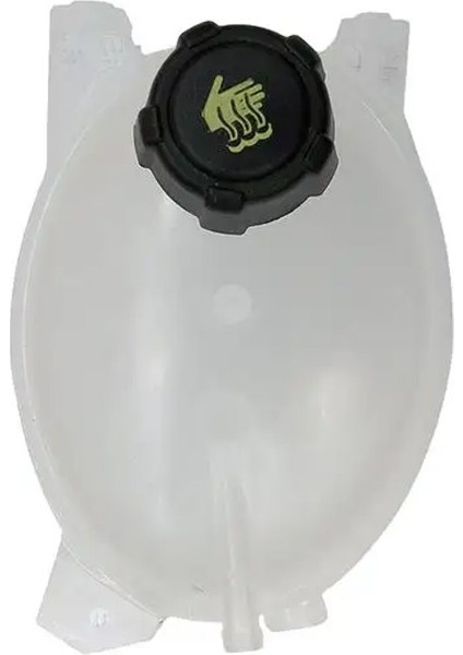 94786 Yedek Su Deposu 217104354R