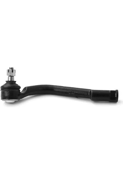 1610203 Rot Basi Sol 568204Z000