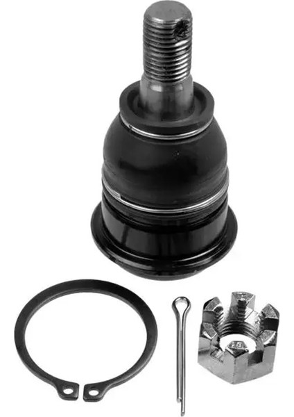 1186502 Rotil Alt 4016050A00 4016050J25 4016069C00