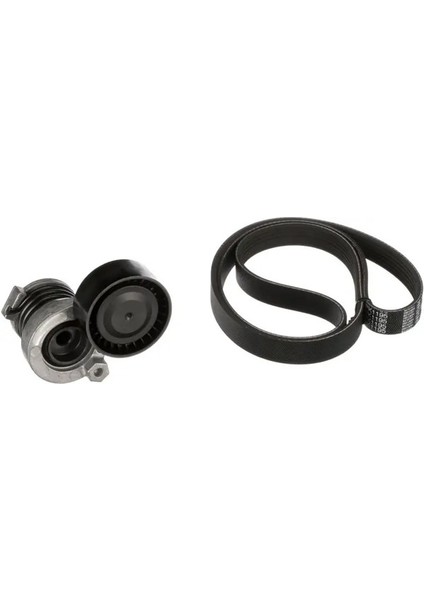 K066PK1195 Kayis Seti 117202495R 117206096R