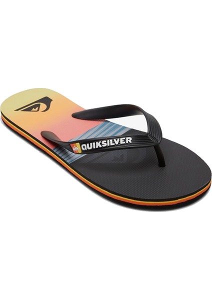 Erkek Terlik Molokai Panel Antrasit LS Ayakkabı