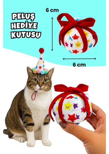 Kedi Parti Kutusu 4’lü Set | Parti Şapkası, Peluş Pasta, Peluş Hediye Kutusu ve Ödül Maması modelleri