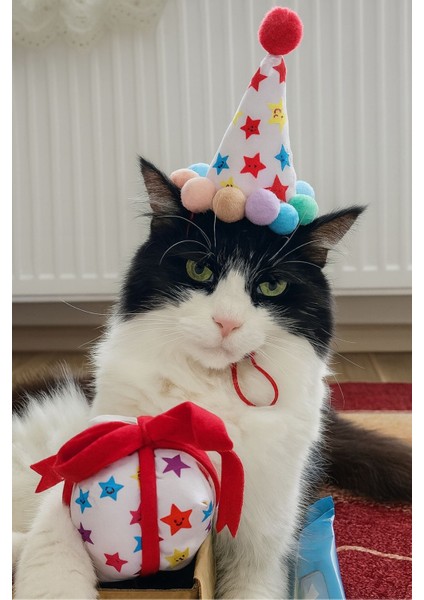 Kedi Parti Kutusu 4’lü Set | Parti Şapkası, Peluş Pasta, Peluş Hediye Kutusu ve Ödül Maması fırsatları