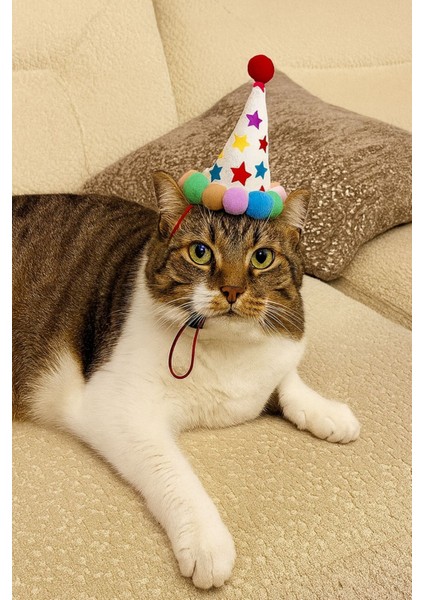 Kedi Parti Kutusu 4’lü Set | Parti Şapkası, Peluş Pasta, Peluş Hediye Kutusu ve Ödül Maması