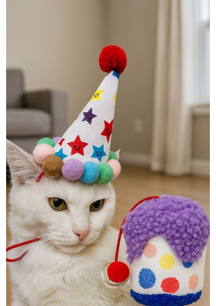 Kedi Parti Kutusu 4’lü Set | Parti Şapkası, Peluş Pasta, Peluş Hediye Kutusu ve Ödül Maması