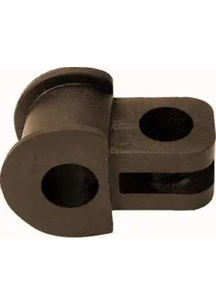 95481 Viraj Lastigi On