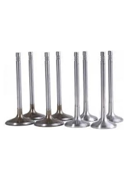 106881316 Supap Takim 04E109601B 04E109611J