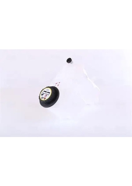 996166 Yedek Su Deposu LR034654