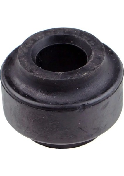 R53361 Viraj Lastigi On A1403231085