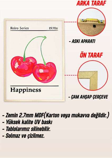 🍒 Retro Pop Art Tarzı Renkli 3’lü Ahşap Çerçeveli Tablo Seti 🌿 CRV1165 23 x 32