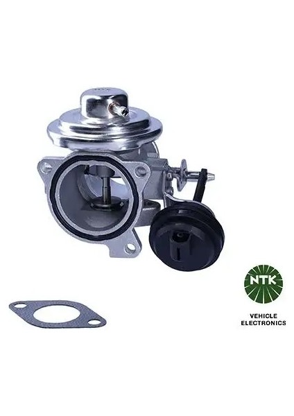 95823 Egr Valfi