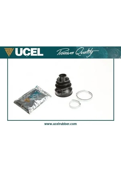 10667 Ic Aks Korugu Sag 7701209993