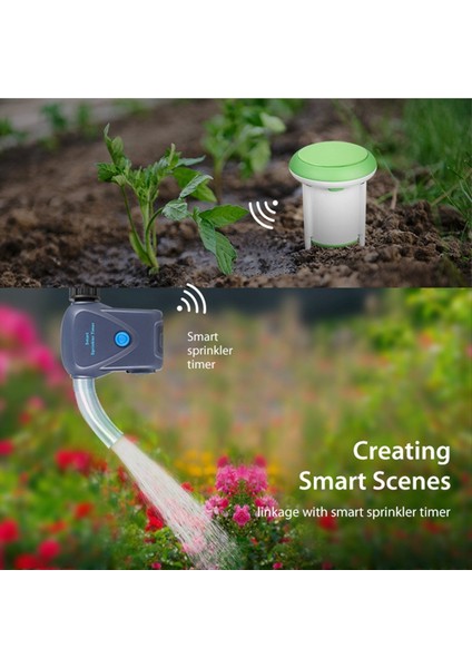 Zigbee Toprak Sensörü Graffiti Akıllı Taşınabilir Toprak Sensörü Sıcaklığı ve Nem Sensörü B (Yurt Dışından)