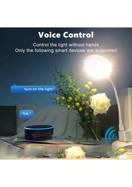 Tuya Smart Zigbee 3 USB Adaptör Anahtarı 5V Mini USB Güç Adaptörü Alexa Yandex Üzerinden Akıllı Yaşam Kontrolü (Yurt Dışından) indirimleri