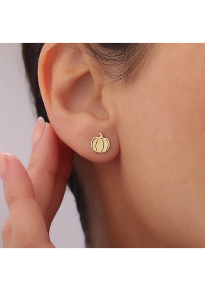 925 Ayar Gümüş Bal Kabağı Küpe fiyatları