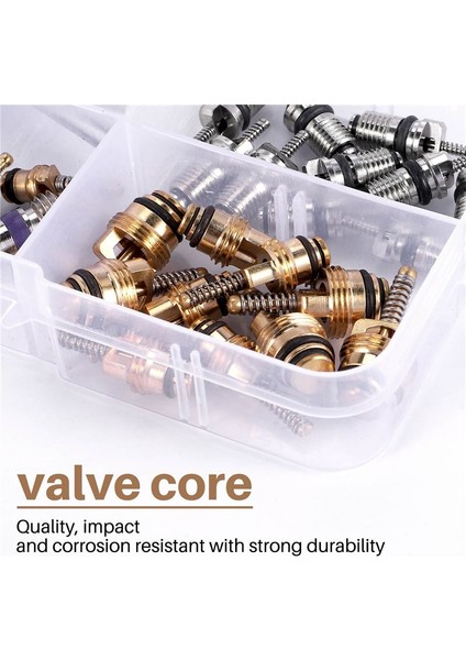 40PCS Klima Klima Klima Valf Çekirdeği R12 R134A Valf Kök Çekirdek Çıkma Aracı Araba Otomatik Klima Aracı Için (Yurt Dışından)