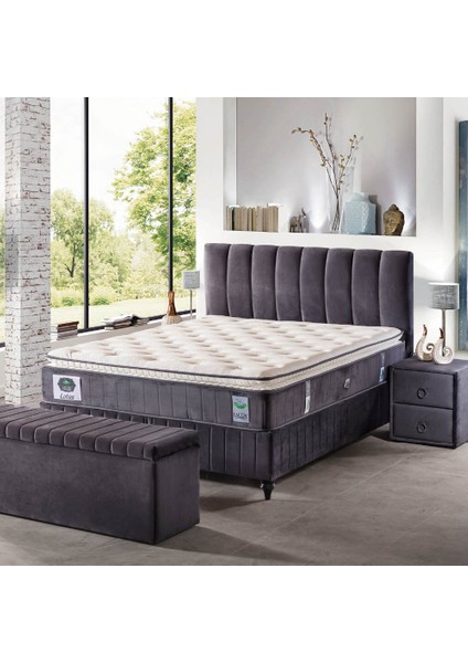 Veronika Baza + Başlık Set