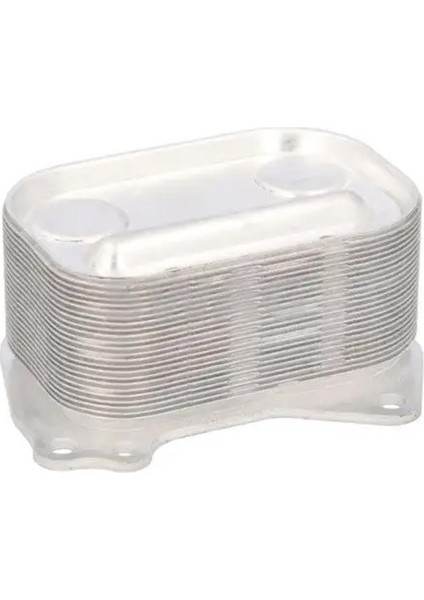 33110741 Motor Yag Sogutucusu 11427625489