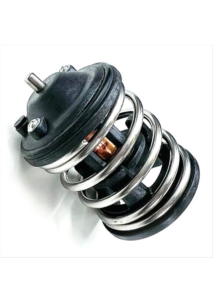 Bmw Mini E81 F20 E90 Parça Numarası 11517805192 7805192 Için Termostat (Yurt Dışından) modelleri