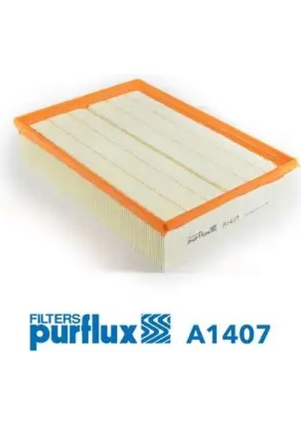 A1407 Hava Filtresi 1654600Q3E 165462604R 8660003757