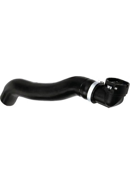 R11160 Radyator Hortumu Alt 46779530