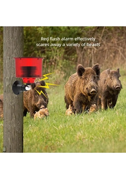 Güneş Enerjili Alarm Işığı Kuş Hayvanı Yenilenmiş Hareket Sensörü Dedektörü Siren Flaşı Ev Meyve Çiftliği (Yurt Dışından) indirimleri