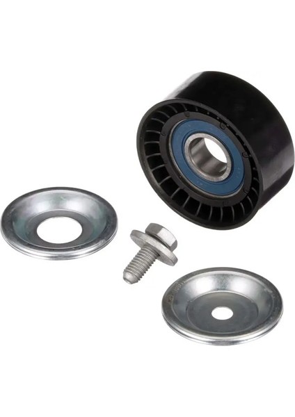 T36413 Alternator Gergi Bilyasi 119233042R 119238248R 8200598966