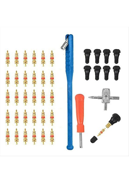43PCS Valf Kurulum Aracı Kit Lastik Valf Kök Aracı Çekme ve Kurulum Kiti (Yurt Dışından)