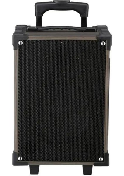 Profesyonel LT-912 Bt Kablosuz Hoparlör Bass Ses Kutusu modelleri