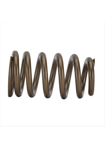 Ls Valve Springs PAC1218-16 Gm Için Ls1 Ls2 Ls3 Ls6 4 8 5 3 6 0 6 2l - 600INCH Asansör (Yurt Dışından) modelleri