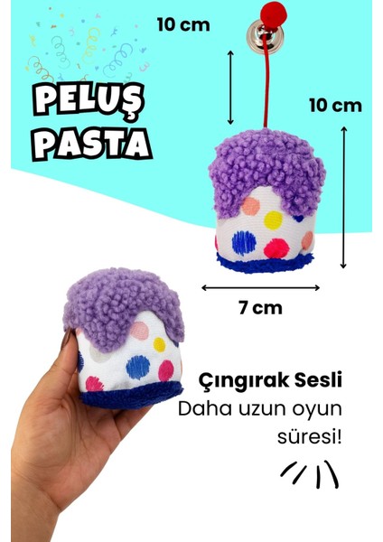 Kedi Parti Kutusu 3'lü Set | Parti Şapkası, Peluş Pasta, Peluş Hediye Kutusu modelleri