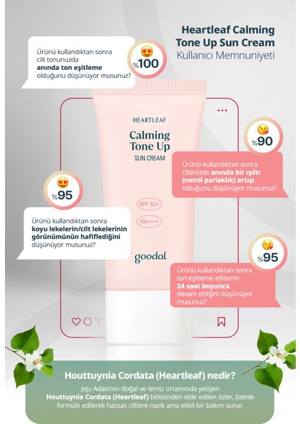 Heartleaf Calming Tone Up Sun Cream - Houttuynia Cordata Özlü Hibrit Filtreli Tone- Up Güneş Kremi SPF50+ Pa++++