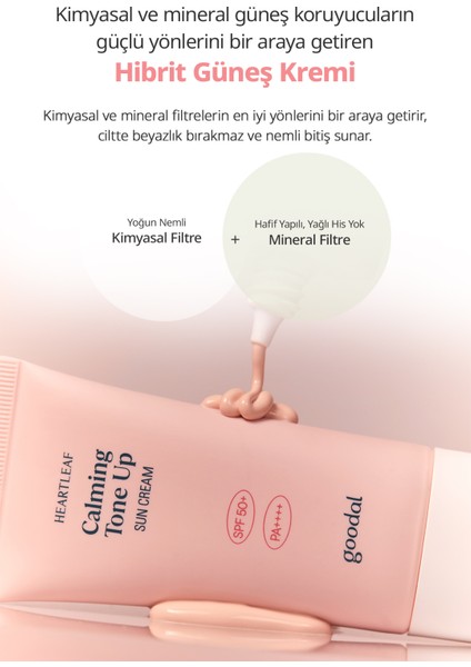Heartleaf Calming Tone Up Sun Cream - Houttuynia Cordata Özlü Hibrit Filtreli Tone- Up Güneş Kremi SPF50+ Pa++++