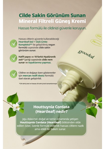 Heartleaf Calming Mineral Filter Sun Cream - Houttuynia Cordata Özlü Mineral Filtreli Güneş Kremi Spf 50+ Pa++++