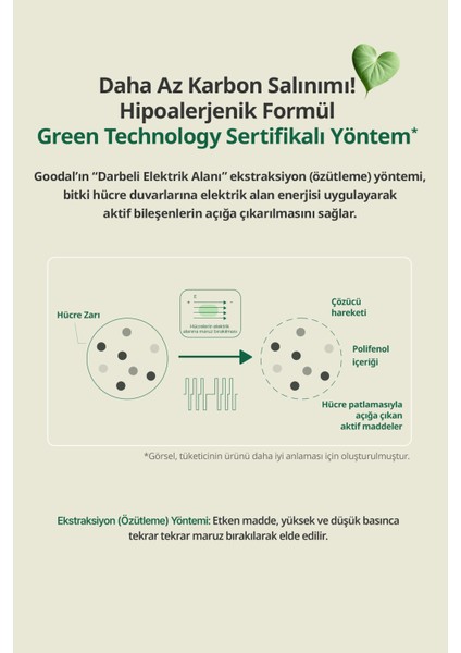 Heartleaf Calming Mineral Filter Sun Cream - Houttuynia Cordata Özlü Mineral Filtreli Güneş Kremi Spf 50+ Pa++++