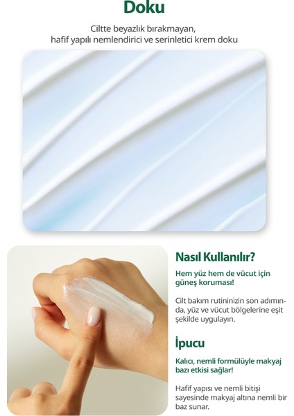 Heartleaf Calming Mineral Filter Sun Cream - Houttuynia Cordata Özlü Mineral Filtreli Güneş Kremi Spf 50+ Pa++++