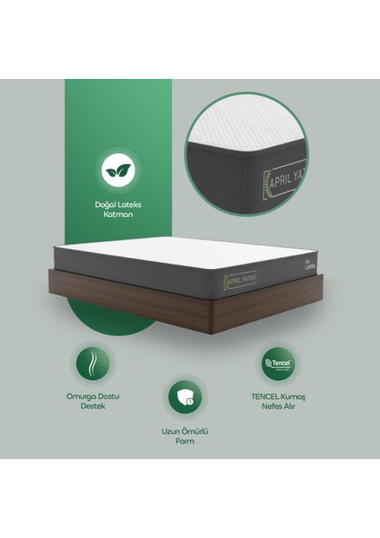 Nº1 Lateks Yatak fiyatları