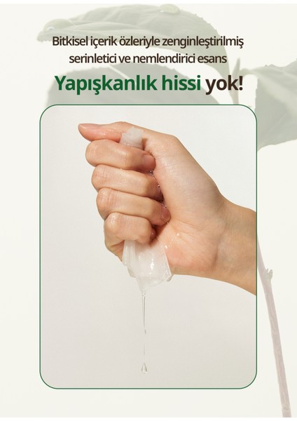 Green Tea Infused Water Mild Sheet Mask - Nemlendirici Yeşil Çay Maskesi