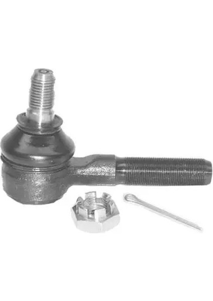 1002201 Rot Basi 21013003057