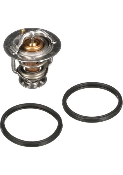 TH31282G1 Termostat 1305A190 212002W201 212002W202