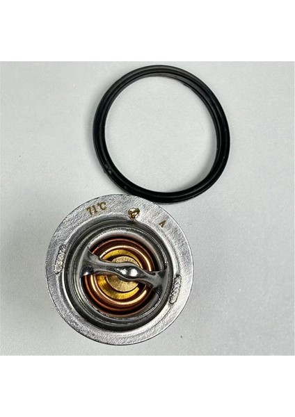 71 ℃ 160 ° F Termostat 129155-49801 Yanmar 4TNV84 4TNV84T 4TNV88 4TNE84 4TNE88 (Yurt Dışından) fırsatları