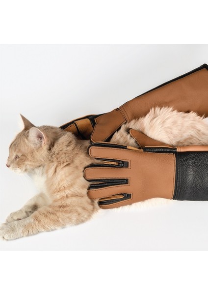 Silinebilir Kedi Tutma – Yakalama Eldiveni -%100 Deri -Tırnak Geçirmez - fırsatları