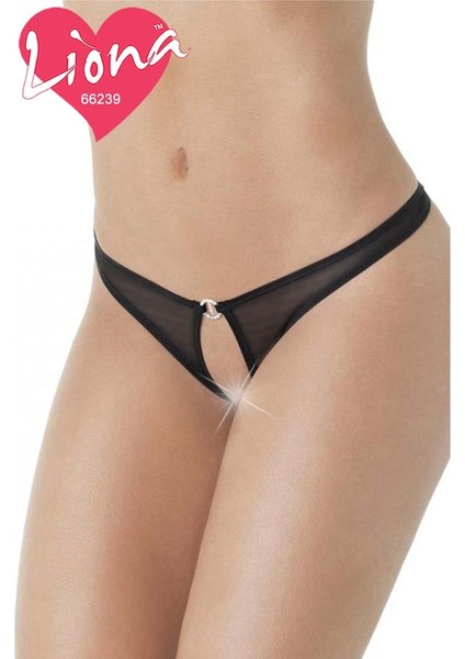 Taşlı Büyük Beden Seksi Külot