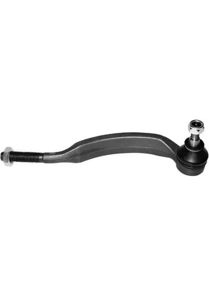 1212200 Rot Basi Sag 381757