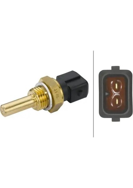 6PT009107471 Hararet Musiri 12621710535 12621747281 99990130060